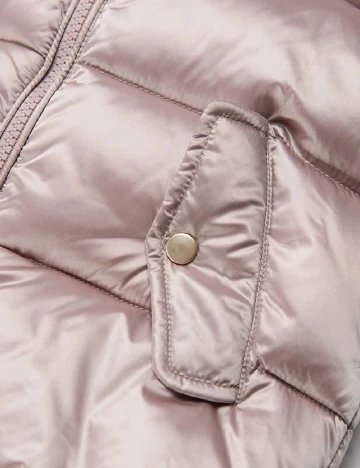 Vesta Cool Club, roz