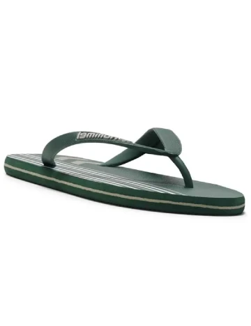 Slapi Hummel, verde