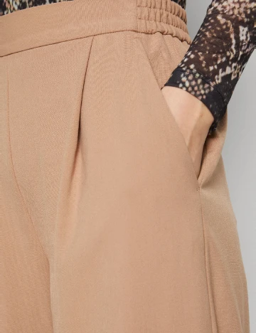 Pantaloni ALLSAINTS, maro Maro