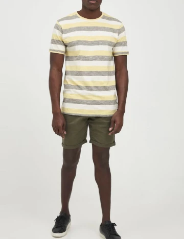 Pantaloni scurti INDICODE, verde Verde
