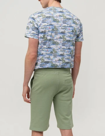 Pantaloni scurti !Solid, verde