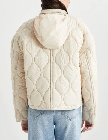 Jacheta DeFacto, bej