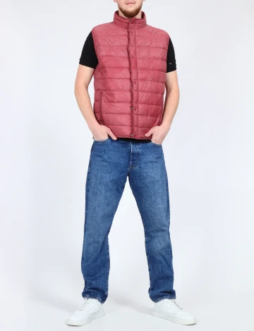 Vesta SHEIN, visiniu