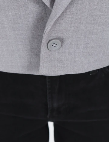 Sacou Abercrombie&Fitch, gri