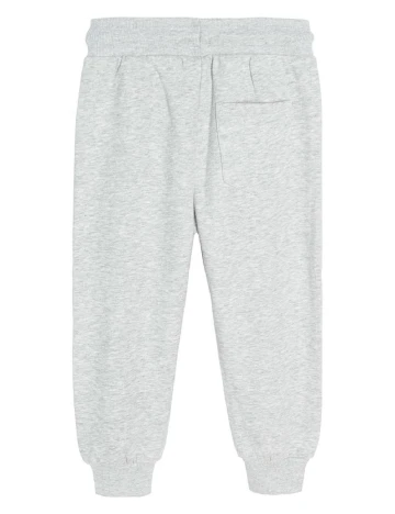 Pantaloni Cool Club, gri