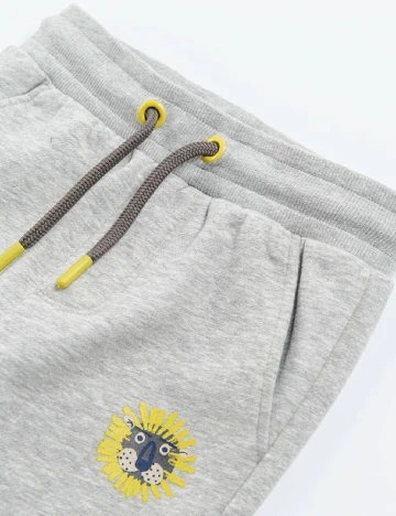 Pantaloni Cool Club, gri