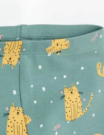 Colanti Cool Club, verde