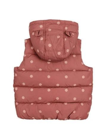 Vesta Cool Club, roz