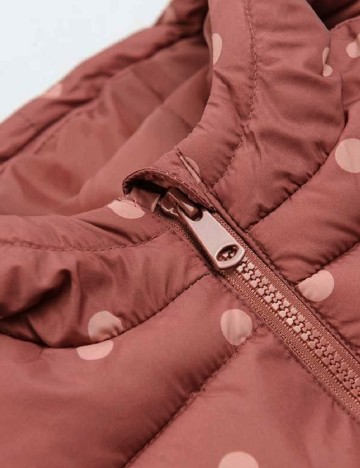 Vesta Cool Club, roz