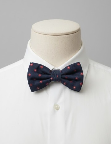 
						Papion Zara, bleumarin inchis