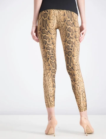 Colanti Bershka, animal print